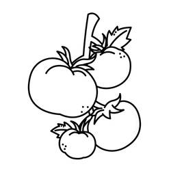 Dessin à colorier: Tomate (Alimentation et Nutrition) #195386 - Coloriages à Imprimer Gratuits
