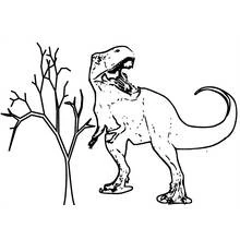 Dessin à colorier: Dinosaure (Animaux préhistoriques) #5505 - Coloriages à Imprimer Gratuits
