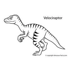 Dessin à colorier: Dinosaure (Animaux préhistoriques) #5517 - Coloriages à Imprimer Gratuits