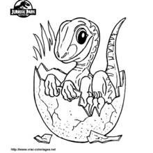 Dessin à colorier: Dinosaure (Animaux préhistoriques) #5538 - Coloriages à Imprimer Gratuits