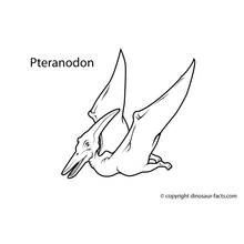 Dessin à colorier: Dinosaure (Animaux préhistoriques) #5594 - Coloriages à Imprimer Gratuits