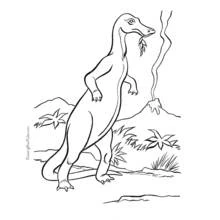 Dessin à colorier: Dinosaure (Animaux préhistoriques) #5656 - Coloriages à Imprimer Gratuits