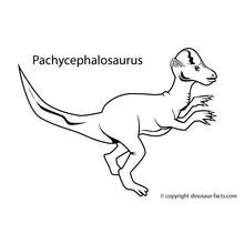 Dessin à colorier: Dinosaure (Animaux préhistoriques) #5659 - Coloriages à Imprimer Gratuits