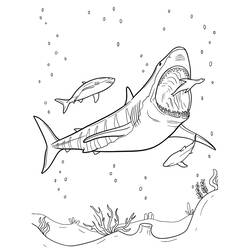 Dessin à colorier: Mégalodon (Animaux préhistoriques) #220710 - Coloriages à Imprimer Gratuits