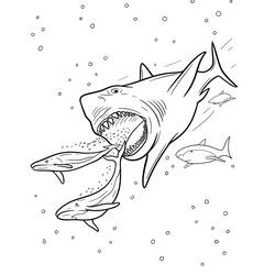 Dessin à colorier: Mégalodon (Animaux préhistoriques) #220711 - Coloriages à Imprimer Gratuits