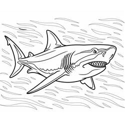 Dessin à colorier: Mégalodon (Animaux préhistoriques) #220712 - Coloriages à Imprimer Gratuits