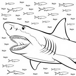 Dessin à colorier: Mégalodon (Animaux préhistoriques) #220714 - Coloriages à Imprimer Gratuits