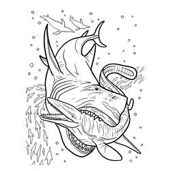 Dessins à colorier: Mégalodon - Coloriages à Imprimer Gratuits