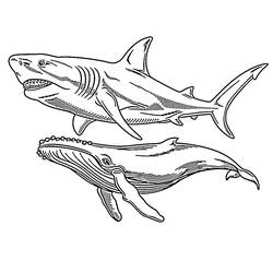 Dessin à colorier: Mégalodon (Animaux préhistoriques) #220721 - Coloriages à Imprimer Gratuits