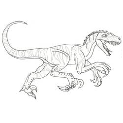 Dessin à colorier: Vélociraptor (Animaux préhistoriques) #214491 - Coloriages à Imprimer Gratuits