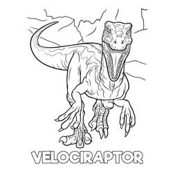 Dessin à colorier: Vélociraptor (Animaux préhistoriques) #214492 - Coloriages à Imprimer Gratuits