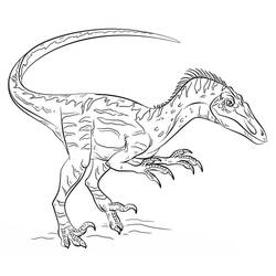 Dessin à colorier: Vélociraptor (Animaux préhistoriques) #214499 - Coloriages à Imprimer Gratuits