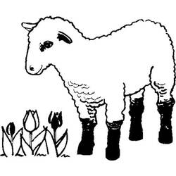 Dessin à colorier: Agneau (Animaux) #184269 - Coloriages à Imprimer Gratuits