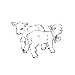 Dessin à colorier: Agneau (Animaux) #184279 - Coloriages à Imprimer Gratuits