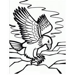 Coloriage Aigle (Animaux) #185154 à imprimer et colorier