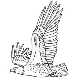 Coloriage Aigle (Animaux) #185161 à imprimer et colorier