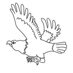 Coloriage Aigle (Animaux) #185167 à imprimer et colorier