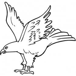 Coloriage Aigle (Animaux) #185173 à imprimer et colorier