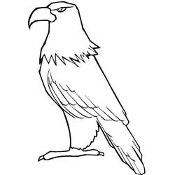 Coloriage Aigle (Animaux) #185181 à imprimer et colorier