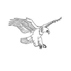 Coloriage Aigle (Animaux) #185183 à imprimer et colorier