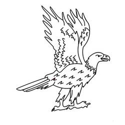 Coloriage Aigle (Animaux) #185184 à imprimer et colorier