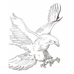 Coloriage Aigle (Animaux) #185185 à imprimer et colorier