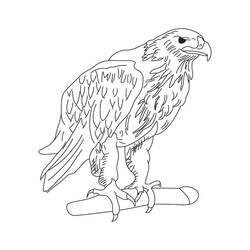 Coloriage Aigle (Animaux) #185187 à imprimer et colorier