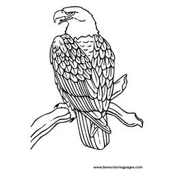 Dessin à colorier: Aigle (Animaux) #279 - Coloriages à Imprimer Gratuits