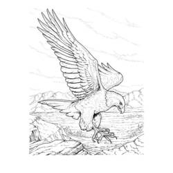 Dessin à colorier: Aigle (Animaux) #296 - Coloriages à Imprimer Gratuits