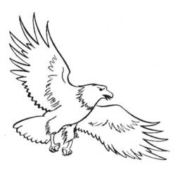 Dessin à colorier: Aigle (Animaux) #318 - Coloriages à Imprimer Gratuits