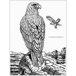 Dessin à colorier: Aigle (Animaux) #324 - Coloriages à Imprimer Gratuits