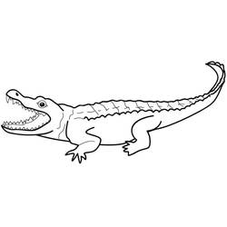 Coloriage Alligator (Animaux) #210197 à imprimer et colorier