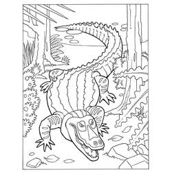 Page de coloriage Alligator (Animaux) #210210, gratuite à imprimer