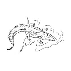 Dessin à colorier: Alligator (Animaux) #431 - Coloriages à Imprimer Gratuits