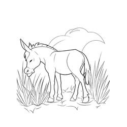 Illustration au trait Âne (Animaux) #197861 prête à colorier