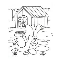 Coloriage Animaux de ferme (Animaux) #198116 à imprimer et colorier