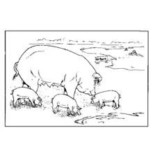 Coloriage Animaux de ferme (Animaux) #21418 à imprimer et colorier