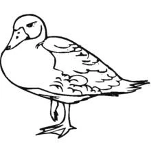 Dessin à colorier: Animaux de ferme (Animaux) #21429 - Coloriages à Imprimer Gratuits