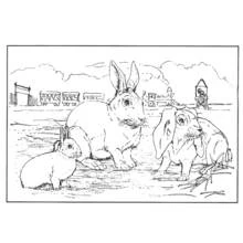 Coloriage Animaux de ferme (Animaux) #21433 à imprimer et colorier