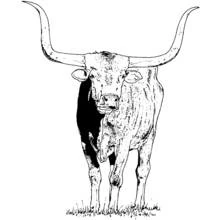 Coloriage Animaux de ferme (Animaux) #21485 à imprimer et colorier