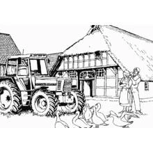 Dessin à colorier: Animaux de ferme (Animaux) #21516 - Coloriages à Imprimer Gratuits