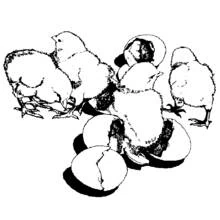 Coloriage Animaux de ferme (Animaux) #21521 à imprimer et colorier