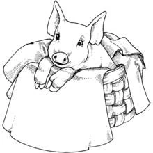 Coloriage Animaux de ferme (Animaux) #21589 à imprimer et colorier