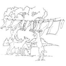 Coloriage Animaux de ferme (Animaux) #21627 à imprimer et colorier