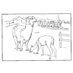 Dessin à colorier: Animaux de la ferme (Animaux) #21530 - Coloriages à Imprimer Gratuits