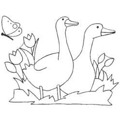 Dessin à colorier: Animaux de la ferme (Animaux) #21544 - Coloriages à Imprimer Gratuits