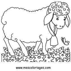 Dessin à colorier: Animaux de la ferme (Animaux) #21576 - Coloriages à Imprimer Gratuits