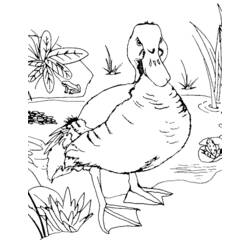 Dessin à colorier: Animaux de la ferme (Animaux) #21659 - Coloriages à Imprimer Gratuits