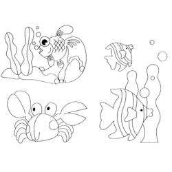 Dessin à colorier: Animaux marins (Animaux) #21982 - Coloriages à Imprimer Gratuits