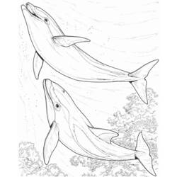 Dessin à colorier: Animaux marins (Animaux) #22015 - Coloriages à Imprimer Gratuits